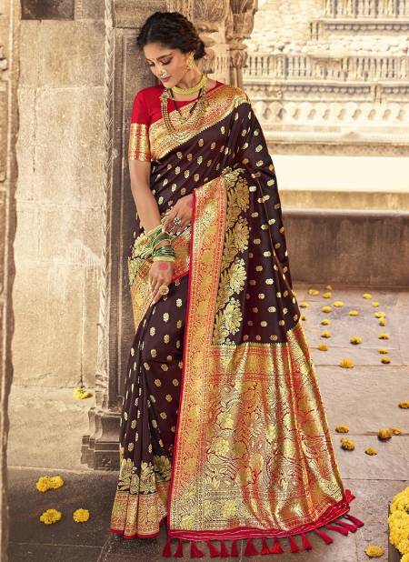 Brown Colour Manjula Mithila Designer Festive Wear Banarasi Silk Fancy Saree Collcetion 3010-C